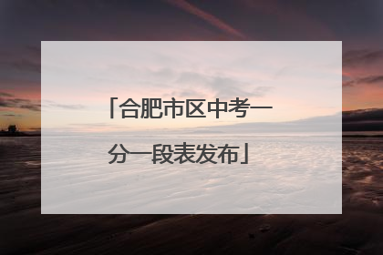 合肥市区中考一分一段表发布