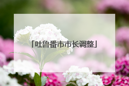 吐鲁番市市长调整
