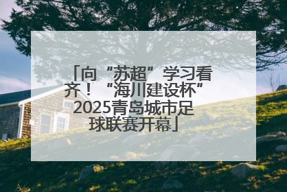 向“苏超”学习看齐！“海川建设杯”2025青岛城市足球联赛开幕