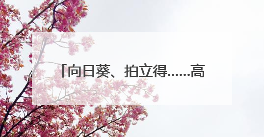 向日葵、拍立得……高考结束定格下青春的这个瞬间是& 8594;｜2025四川高考