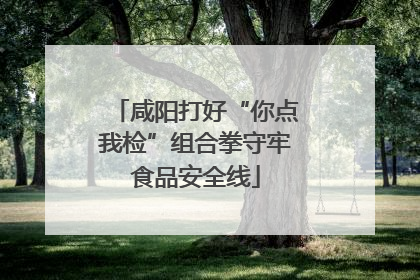 咸阳打好“你点我检”组合拳守牢食品安全线