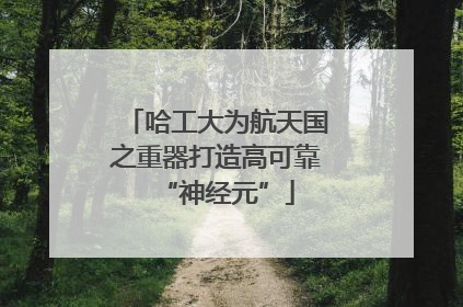 哈工大为航天国之重器打造高可靠“神经元”