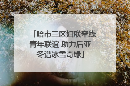 哈市三区妇联牵线青年联谊 助力后亚冬谱冰雪奇缘