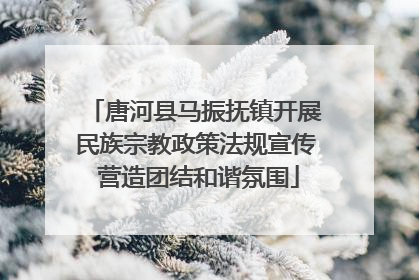 唐河县马振抚镇开展民族宗教政策法规宣传 营造团结和谐氛围