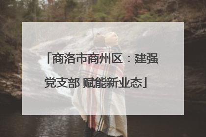 商洛市商州区：建强党支部 赋能新业态