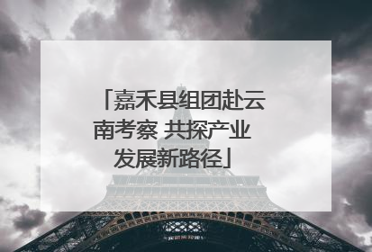 嘉禾县组团赴云南考察 共探产业发展新路径