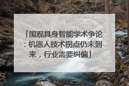 围观具身智能学术争论：机器人技术拐点仍未到来，行业需要纠偏