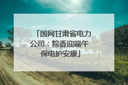 国网甘肃省电力公司：粽香迎端午 保电护安康