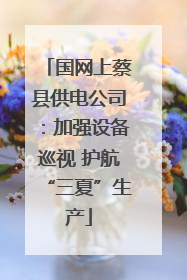 国网上蔡县供电公司：加强设备巡视 护航“三夏”生产