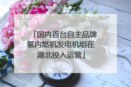 国内首台自主品牌氢内燃机发电机组在湖北投入运营