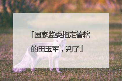 国家监委指定管辖的田玉军，判了