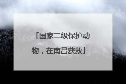 国家二级保护动物，在南昌获救