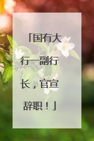 国有大行一副行长，官宣辞职！