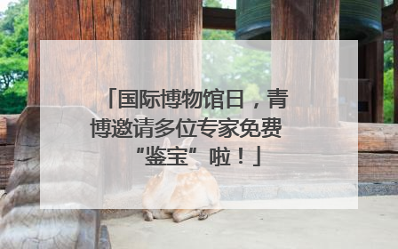 国际博物馆日，青博邀请多位专家免费“鉴宝”啦！