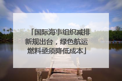 国际海事组织减排新规出台，绿色航运燃料亟须降低成本