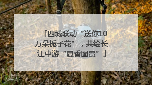 四城联动“送你10万朵栀子花”，共绘长江中游“夏香图景”
