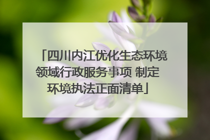 四川内江优化生态环境领域行政服务事项 制定环境执法正面清单