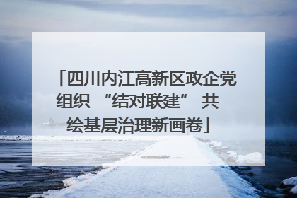 四川内江高新区政企党组织 “结对联建” 共绘基层治理新画卷