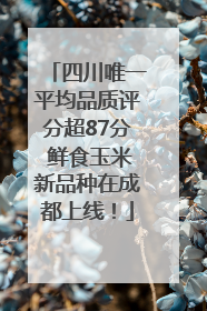 四川唯一平均品质评分超87分 鲜食玉米新品种在成都上线！