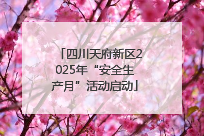 四川天府新区2025年“安全生产月”活动启动