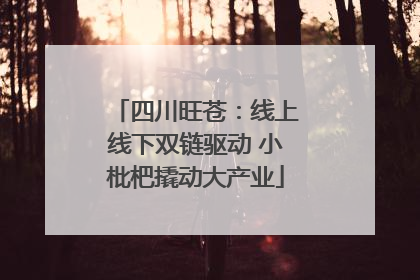 四川旺苍：线上线下双链驱动 小枇杷撬动大产业