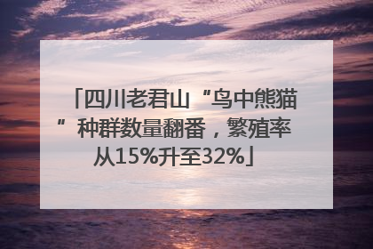 四川老君山“鸟中熊猫”种群数量翻番，繁殖率从15%升至32%