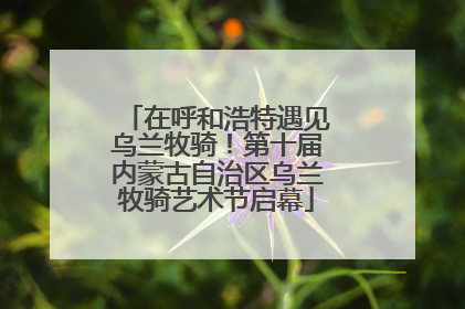 在呼和浩特遇见乌兰牧骑！第十届内蒙古自治区乌兰牧骑艺术节启幕
