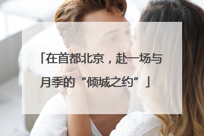在首都北京，赴一场与月季的“倾城之约”