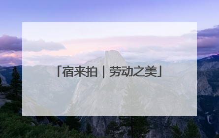 宿来拍｜劳动之美