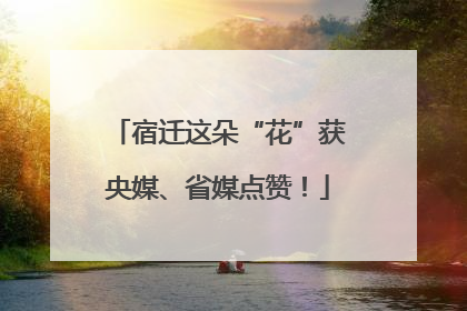 宿迁这朵“花”获央媒、省媒点赞！