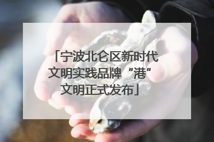 宁波北仑区新时代文明实践品牌“港”文明正式发布