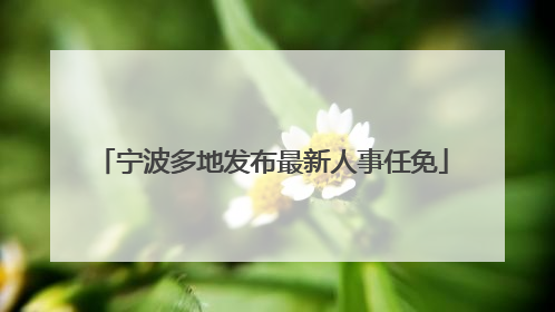 宁波多地发布最新人事任免