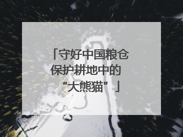 守好中国粮仓 保护耕地中的“大熊猫”