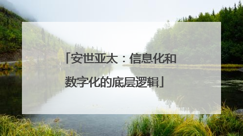 安世亚太：信息化和数字化的底层逻辑