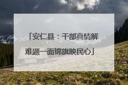 安仁县：干部真情解难题一面锦旗映民心