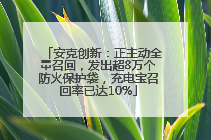 安克创新：正主动全量召回，发出超8万个防火保护袋，充电宝召回率已达10%