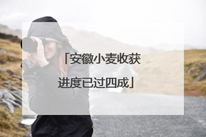 安徽小麦收获进度已过四成