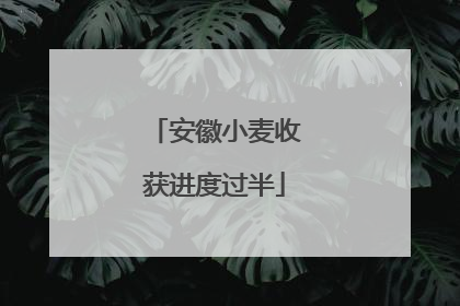 安徽小麦收获进度过半