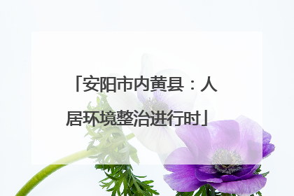 安阳市内黄县：人居环境整治进行时