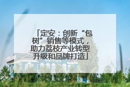 定安：创新“包树”销售等模式，助力荔枝产业转型升级和品牌打造