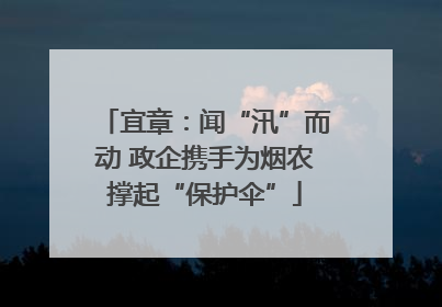 宜章：闻“汛”而动 政企携手为烟农撑起“保护伞”