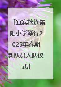 宜宾筠连景阳小学举行2025年春期新队员入队仪式