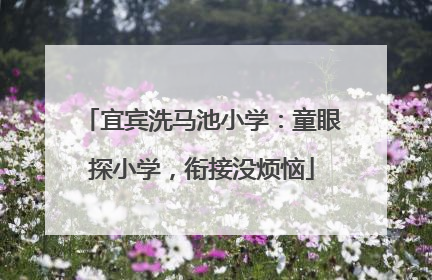宜宾洗马池小学：童眼探小学，衔接没烦恼