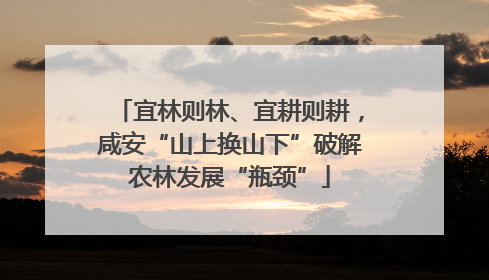 宜林则林、宜耕则耕，咸安“山上换山下”破解农林发展“瓶颈”