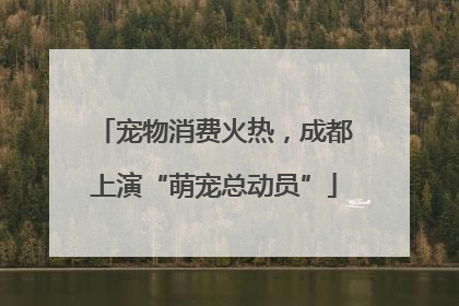 宠物消费火热，成都上演“萌宠总动员”