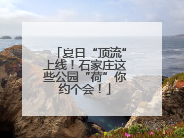 夏日“顶流”上线！石家庄这些公园“荷”你约个会！