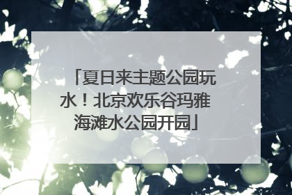 夏日来主题公园玩水！北京欢乐谷玛雅海滩水公园开园