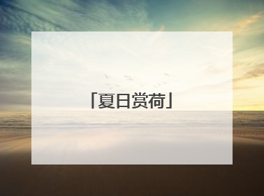 夏日赏荷