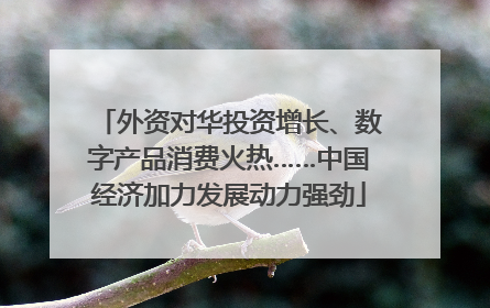 外资对华投资增长、数字产品消费火热……中国经济加力发展动力强劲