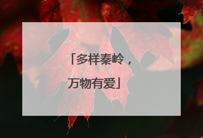 多样秦岭，万物有爱